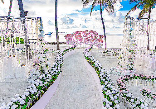 MUSE Design Awards Winner - BLOOMING ROSE