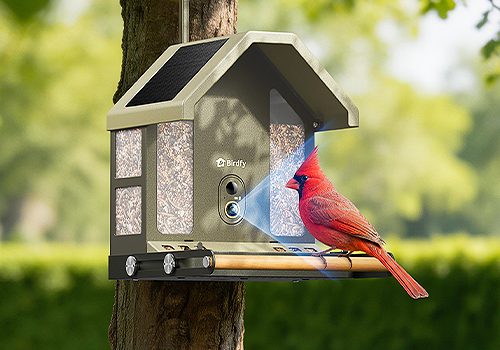 2026 MUSE Design Awards Winner - Birdfy Feeder Metal2 4k by Netvue Technologies Co.,Ltd.