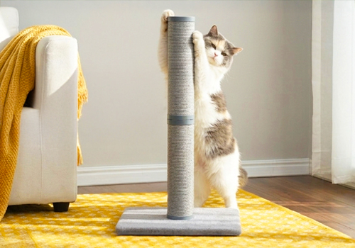 2026 MUSE Design Awards Winner - SoftStone Catnip Scratcher  infused post  by PetPals Group Inc.