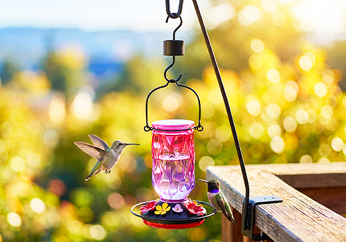 2026 MUSE Design Awards Winner - BloomWave hummingbird feeder by Wuhan Lewei E-Commerce Co., Ltd