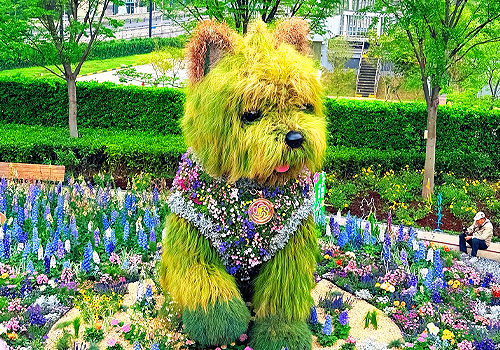 MUSE Design Awards Winner - blossom pet land