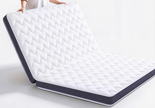 MUSE Design Awards Winner - StellarSpine Care Mattress