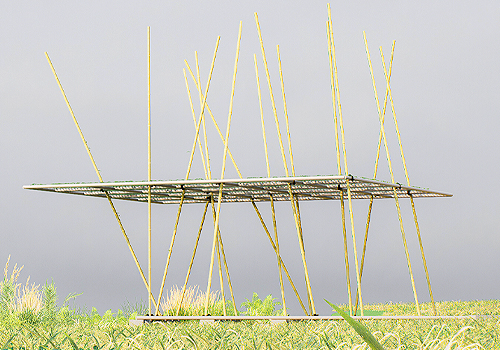 2026 MUSE Design Awards Winner - Between the Bamboo by Art Institute of Xiaoyan (AIXY)