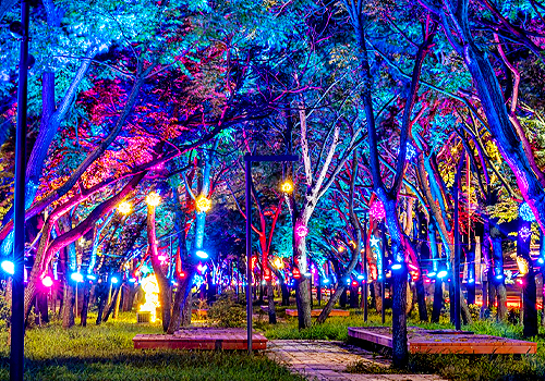 MUSE Design Awards Winner - Huwei High-Speed Rail Greenway Lighting Environment