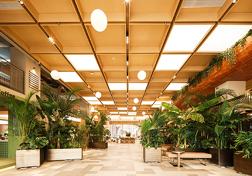 2026 MUSE Design Awards Winner - United Middle Yangtze Story Market by Sichuan Shanyu Qingshan Architectural Decoration Design Co., Ltd