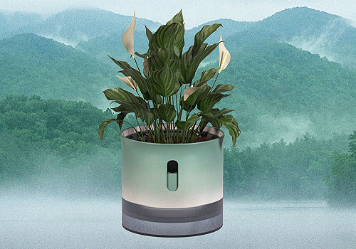 2026 MUSE Design Awards Winner - Potrichor by Freelancer