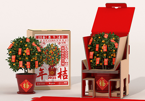 MUSE Design Awards - New Year Kumquat