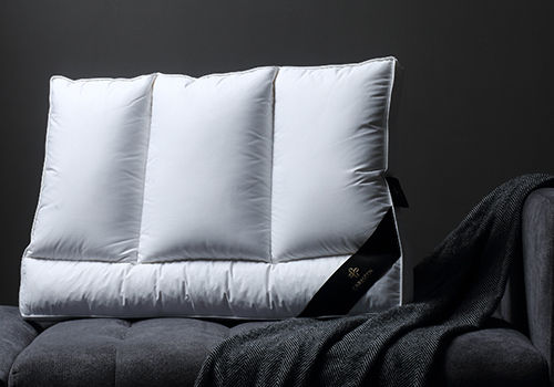 MUSE Design Awards - Darwin Pillow