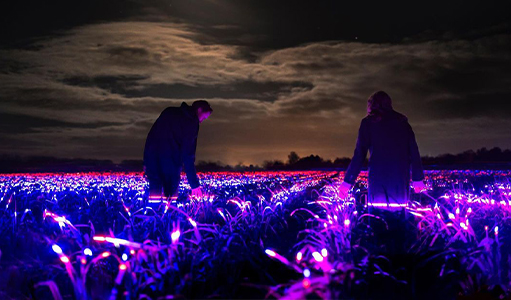 GROW by Studio Roosegaarde takes home 2 MUSE Awards! 
