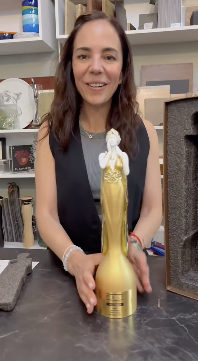 MUSE Design Awards Winner - I'm very grateful to share that I have won Gold at the 2025 MUSE Design Awards!
